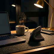 Vertical Ergonomic Mouse - evening desk
